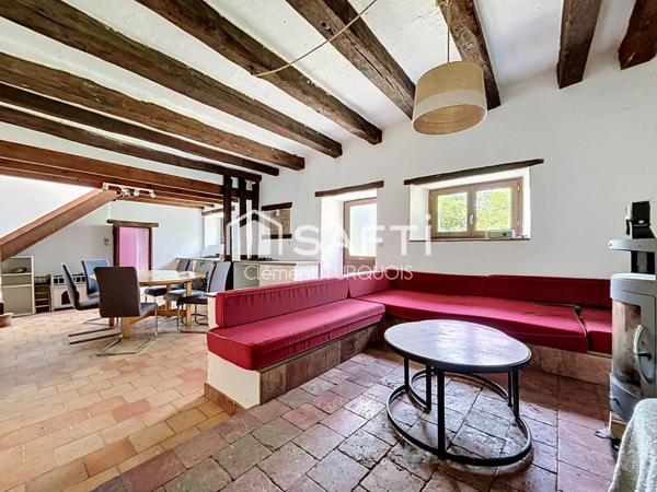 Maison ancienne 4500 m² de terrain