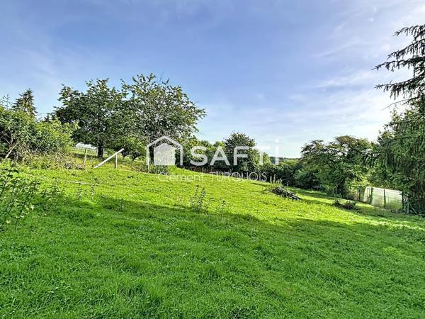 Maison ancienne 4500 m² de terrain