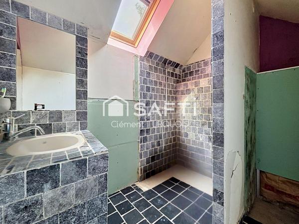 Maison ancienne 4500 m² de terrain