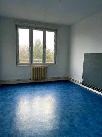 Apt Lille 2 pièce(s) 49 m2, 1chambre et une cave. Jardin collectif