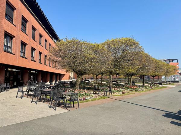 Appartement Evry Courcouronnes 1 pièce(s) 32 m2