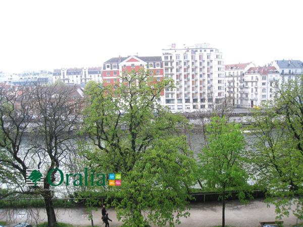 Appartement · Location Grenoble (38000) 1 pièce · 31m²