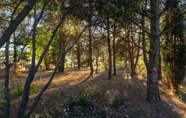 Vente Maison Aigues-vives   