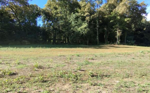 Terrain à vendre    Mont-de-Marsan