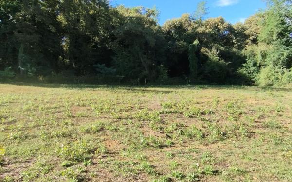 Terrain à vendre    Mont-de-Marsan