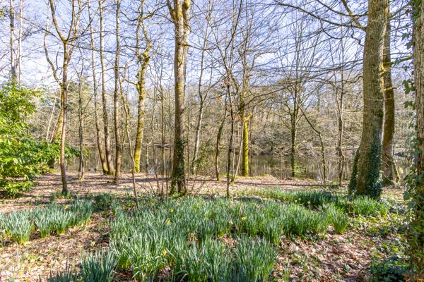 SAINT-SEBASTIEN-SUR-LOIRE - MAISON DE 216 M2 HABITABLES - TERRAIN 3300 M2