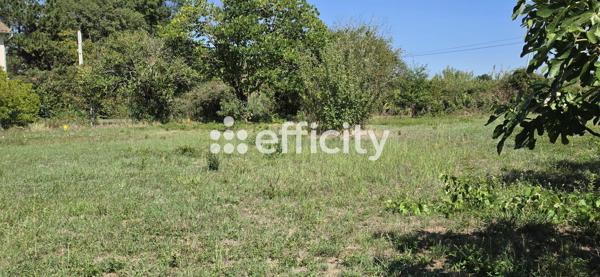 Terrain
        
        - 614 m² 63 800 € *