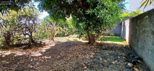 Maison à vendre à Saint-Denis à la Réunion (97400), ref : 97404/19   
Providence / Saint-François