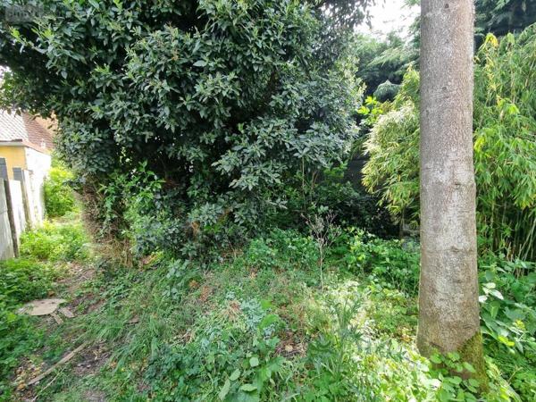 Maison à vendre à Burbure dans le Pas-de-Calais (62151), ref : 62050-1712