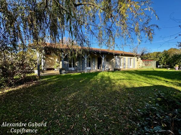 Maison de plain-pied - 3 chambres et bureau - 3 hectares de terrain