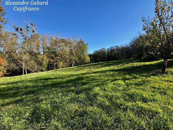 Maison de plain-pied - 3 chambres et bureau - 3 hectares de terrain