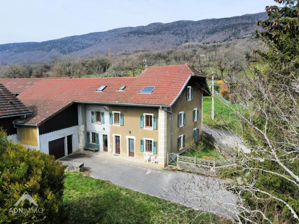 Saint-Jean-de-Gonville (01630) Maison Village 160 m2 + Appartement T2 62 m2