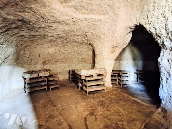 Terrain Doue En Anjou 895 m2