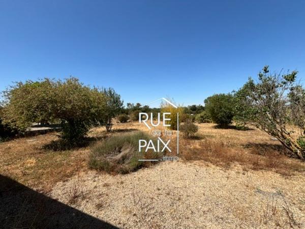 79600 SAINT LOUP LAMAIRE Maison plain pied Saint Loup Lamaire 4 pièce103 m2
