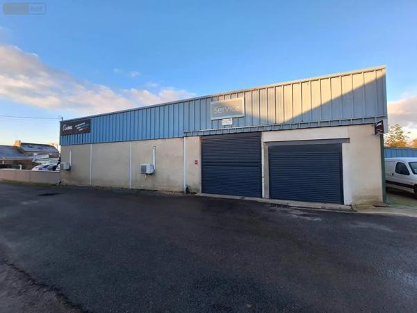 Achat - Fonds et/ou murs commerciaux Mauron 56430 6 pièces 400 m 2 1166 m 2