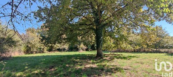 Maison 9 pièces de 188 m² à Pineuilh (33220)