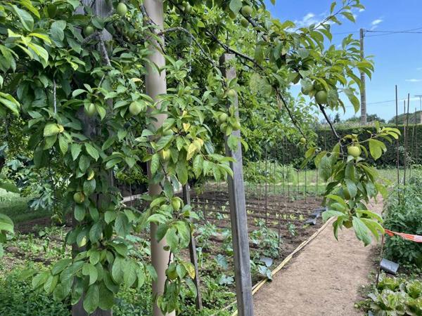 Maison à vendre |  Béziers |  8 pièces | 165 m²