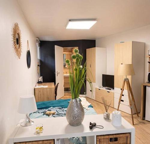 Appartement 1 pièce                                        - 35000 Rennes Réf : 2396