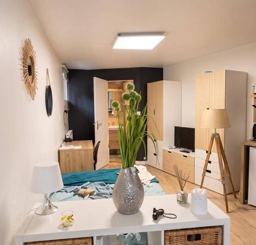 Appartement 1 pièce                                        - 35000 Rennes Réf : 2396