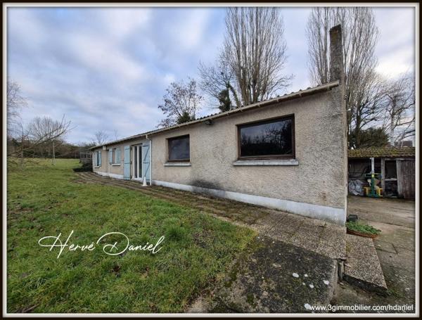 Vente murs / Local activité