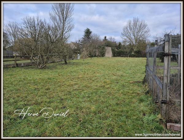 Vente murs / Local activité