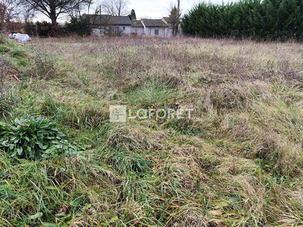 Achat terrain Gaillac - 563 m² - 61 000 €