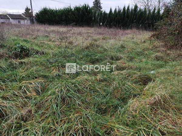 Achat terrain Gaillac - 563 m² - 61 000 €