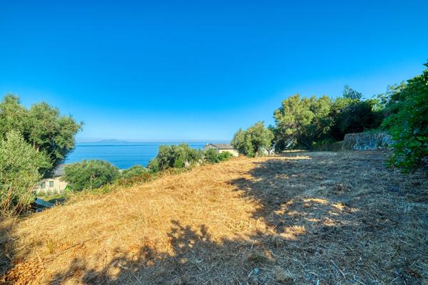 Vente Terrain Constructible Vue Mer Brando - Mausoleo
