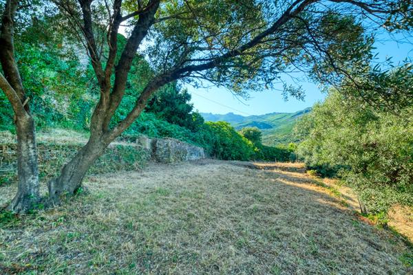 Vente Terrain Constructible Vue Mer Brando - Mausoleo