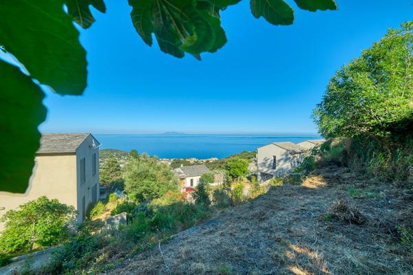 Vente Terrain Constructible Vue Mer Brando - Mausoleo