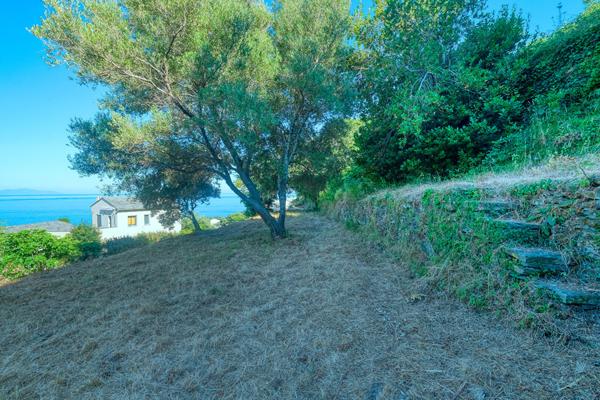 Vente Terrain Constructible Vue Mer Brando - Mausoleo