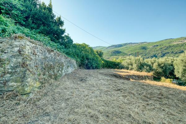 Vente Terrain Constructible Vue Mer Brando - Mausoleo