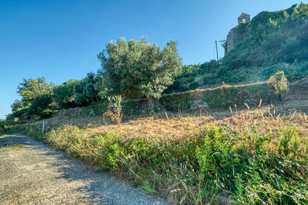 Vente Terrain Constructible Vue Mer Brando - Mausoleo