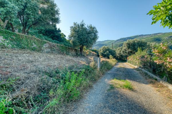 Vente Terrain Constructible Vue Mer Brando - Mausoleo