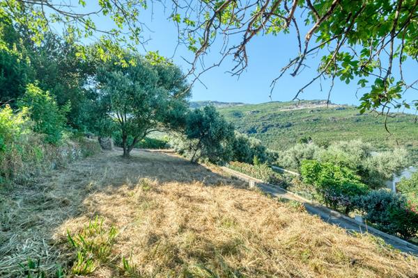 Vente Terrain Constructible Vue Mer Brando - Mausoleo