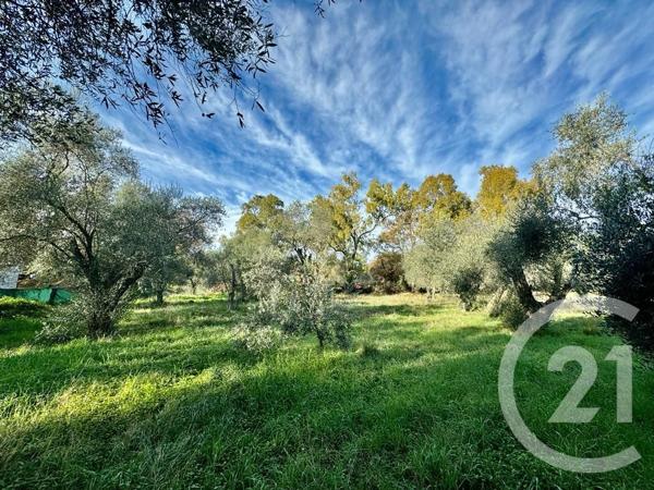 terrain à vendre  2000 m2 OPIO - 06