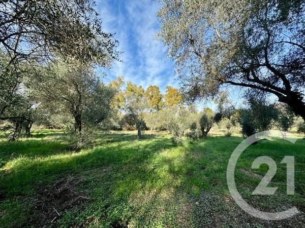 terrain à vendre  2000 m2 OPIO - 06