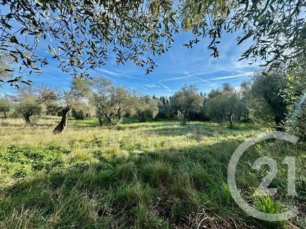 terrain à vendre  2000 m2 OPIO - 06