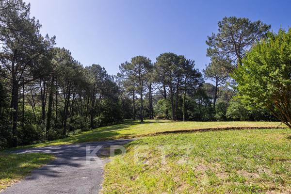 Bidart — Villa à réinventer sur terrain piscinable de 16 000 m²