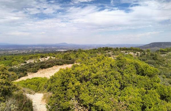 Terrain à vendre |  Gigean |  6560 m²