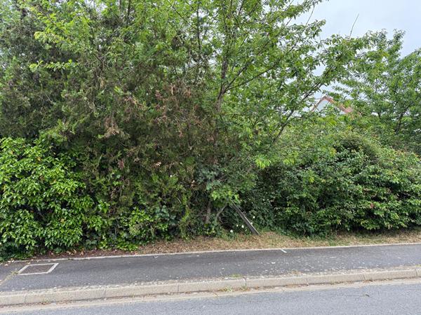 Terrain Saint Germain Les Arpajon 2626 m2