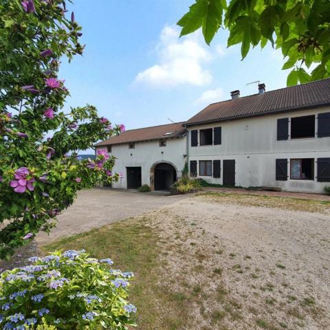 PROPRIÉTÉ sur 4 ha à vendre 7 pièces secteur XERTIGNY (88) MAISON et partie FERME