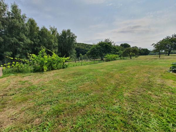 PROPRIÉTÉ sur 4 ha à vendre 7 pièces secteur XERTIGNY (88) MAISON et partie FERME