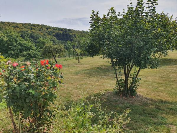 PROPRIÉTÉ sur 4 ha à vendre 7 pièces secteur XERTIGNY (88) MAISON et partie FERME