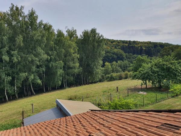 PROPRIÉTÉ sur 4 ha à vendre 7 pièces secteur XERTIGNY (88) MAISON et partie FERME