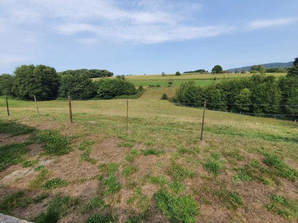 PROPRIÉTÉ sur 4 ha à vendre 7 pièces secteur XERTIGNY (88) MAISON et partie FERME