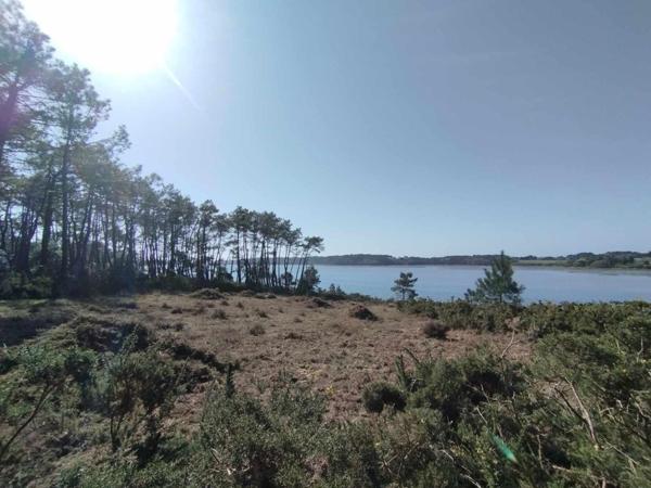 Terrain à VANNES, 56000 - 346m²