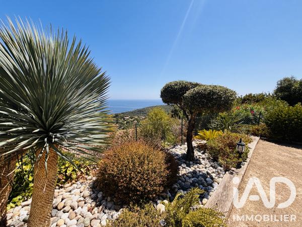 Maison (prestige) à vendre 7 pièces 207 m² Cavalaire-sur-Mer