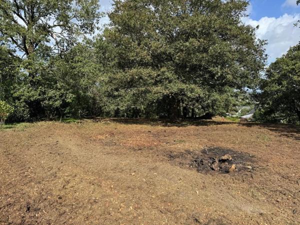 Terrain rare et plein de charme, au cœur d'un environnement verdoyant et préservé. Offrant une belle surface dégagée