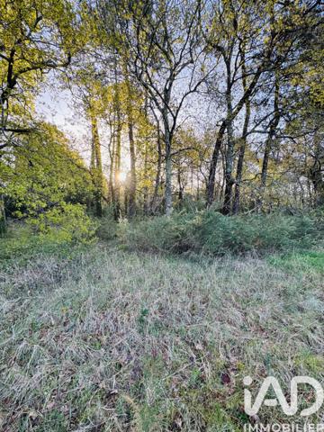 Terrain à vendre 800 m² Soulac-sur-Mer